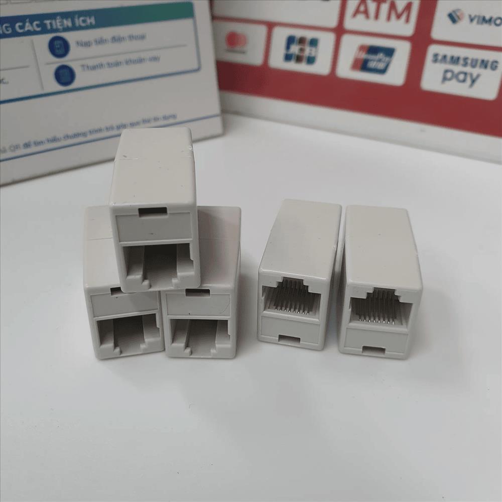 Dau-noi-rj45-(1-ra-1)