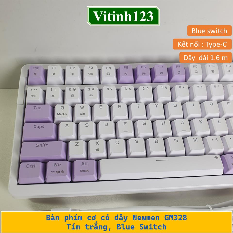 ban-phim-co-co-day-newmen-gm328---tim-trang,-blue-switch-2025120716374748.jpeg