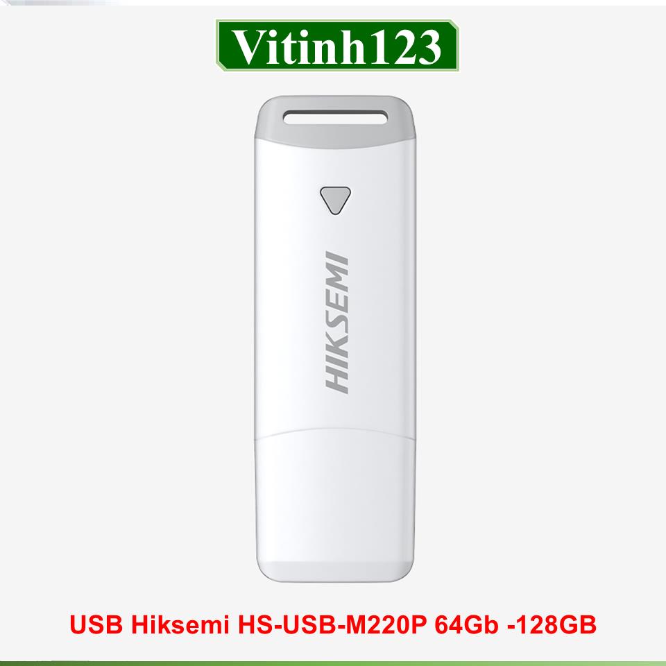 usb-hiksemi-hs-usb-m220p-128gb